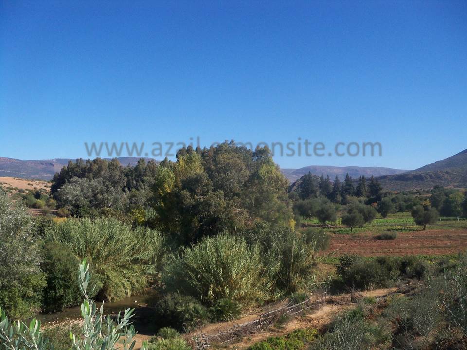 ASSAR (44)