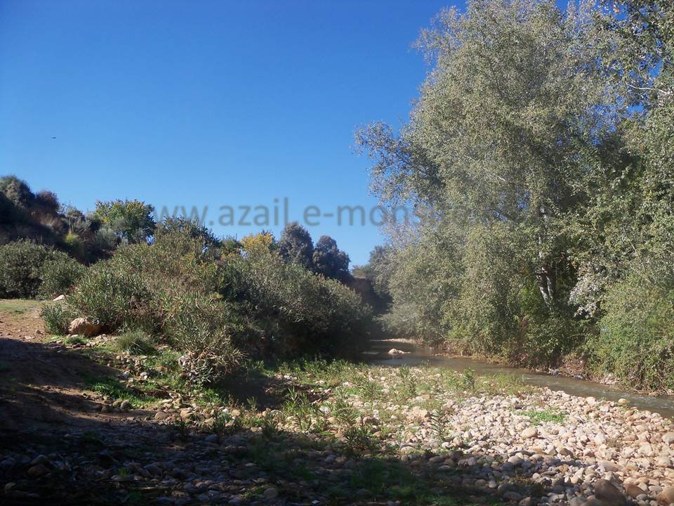 ASSAR (48)