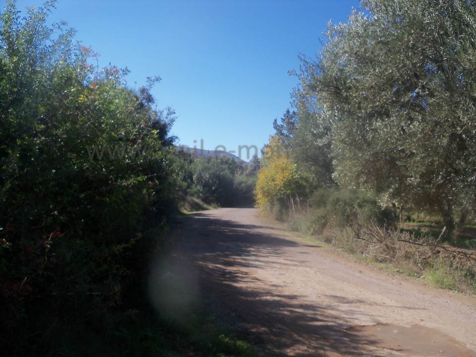 ASSAR (61)
