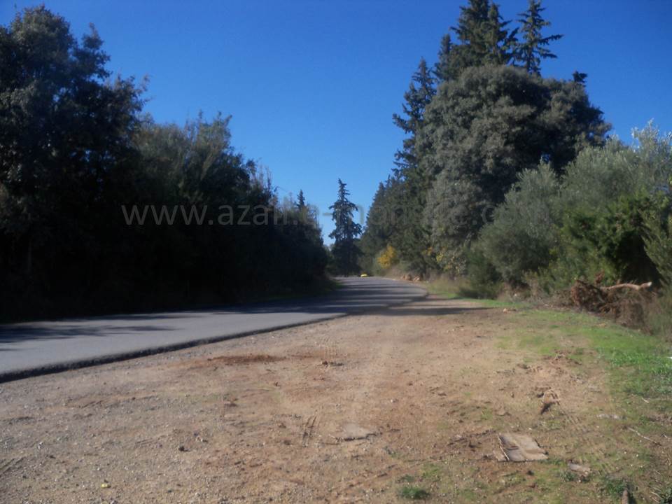 ASSAR (68)