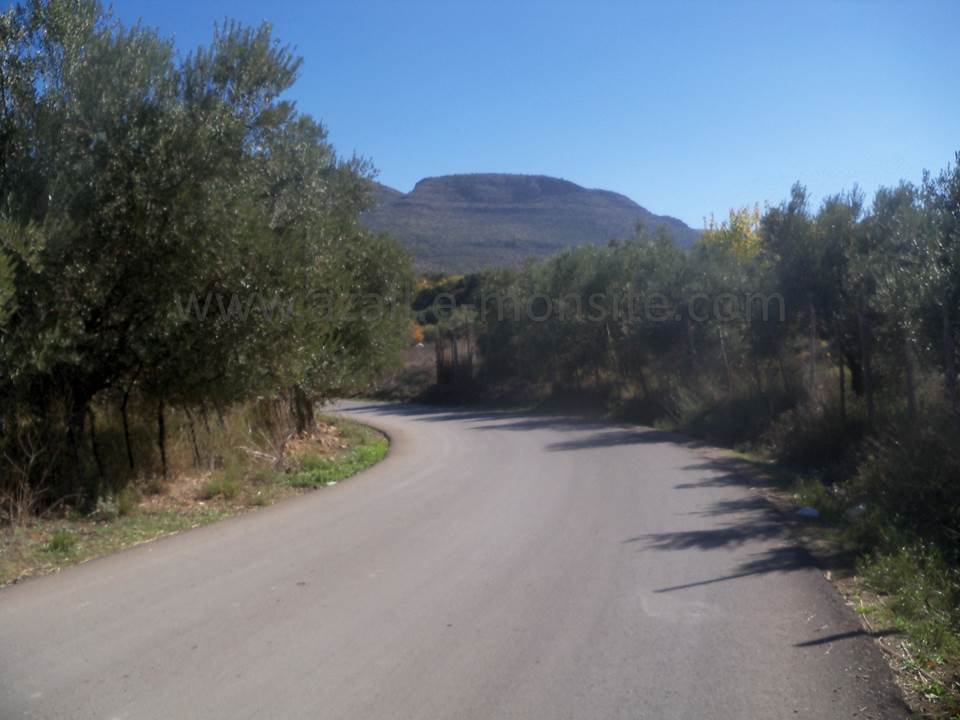 ASSAR (70)
