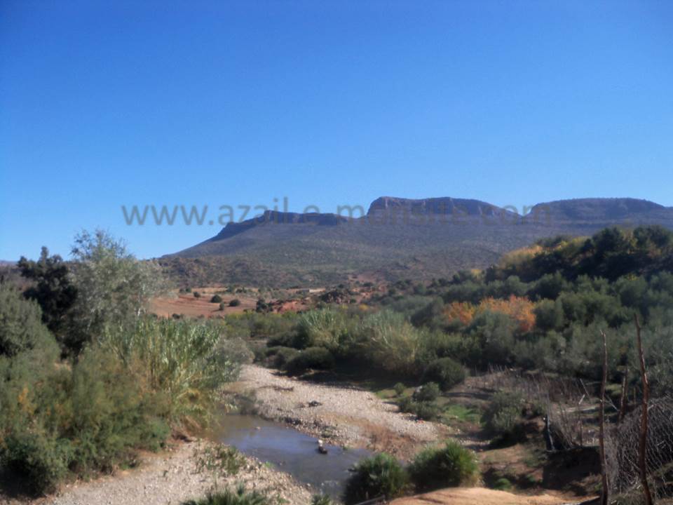ASSAR (73)