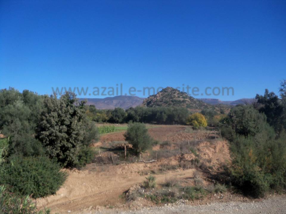 ASSAR (74)