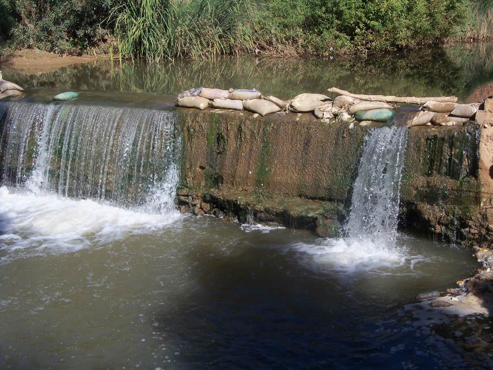 ASSAR (77)