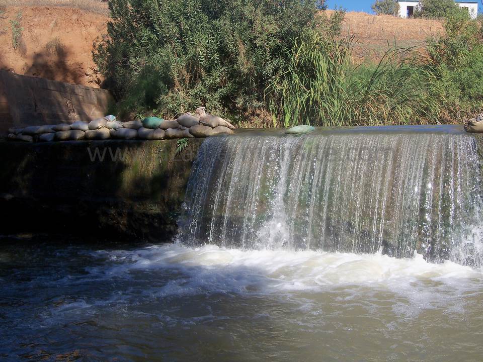 ASSAR (78)