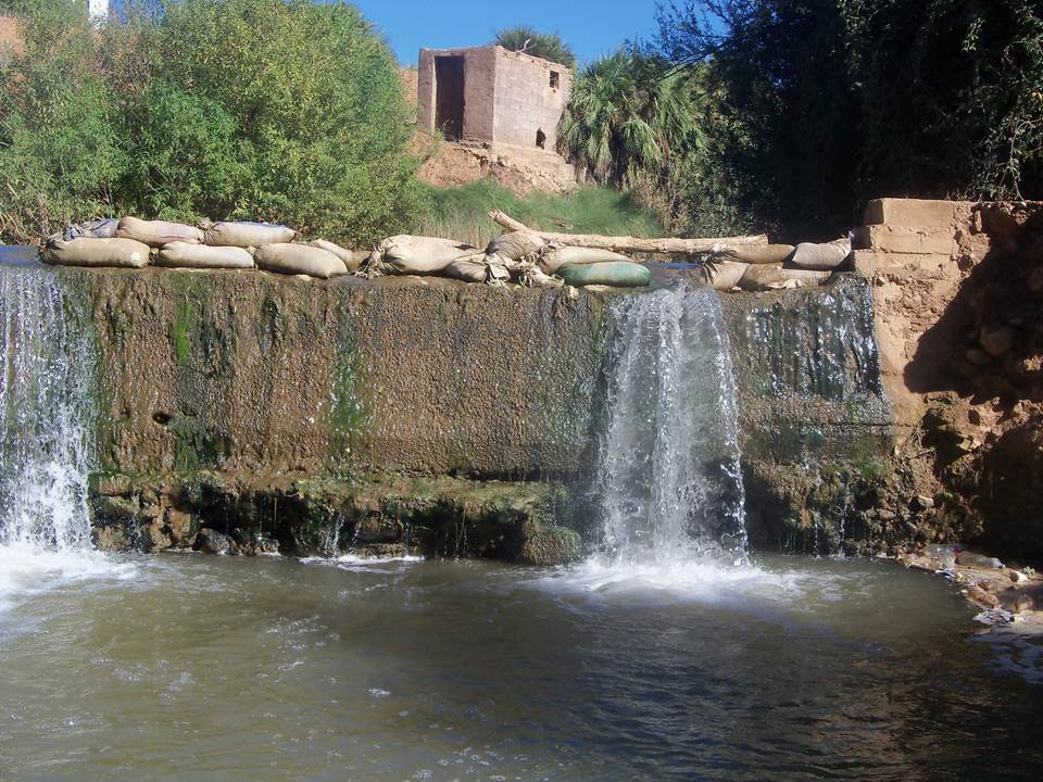 ASSAR (79)