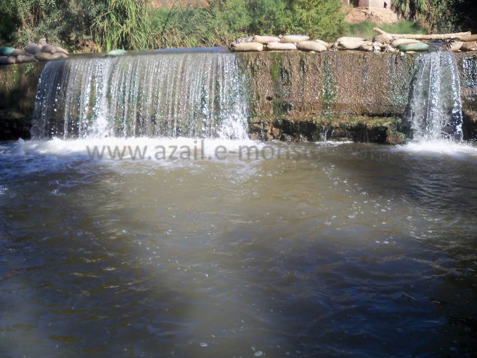 ASSAR (81)