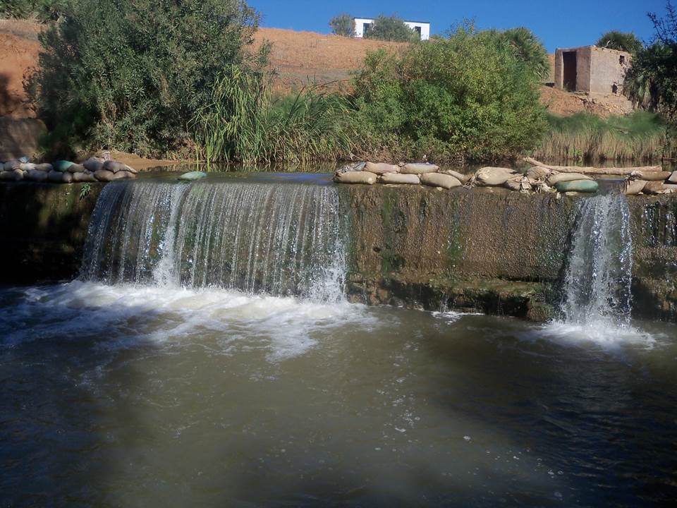 ASSAR (83)