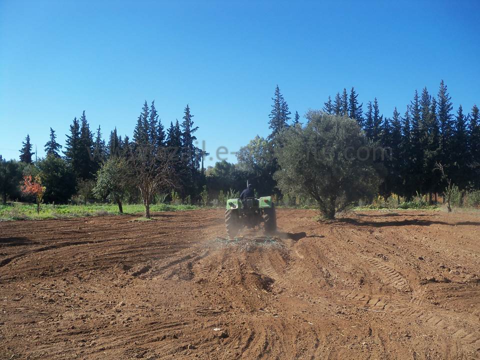 ASSAR (87)