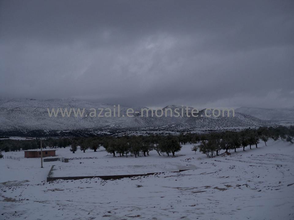 Azails (100)