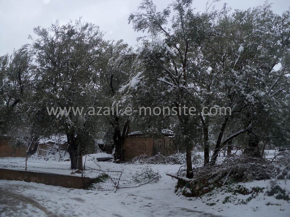 Azails (118)