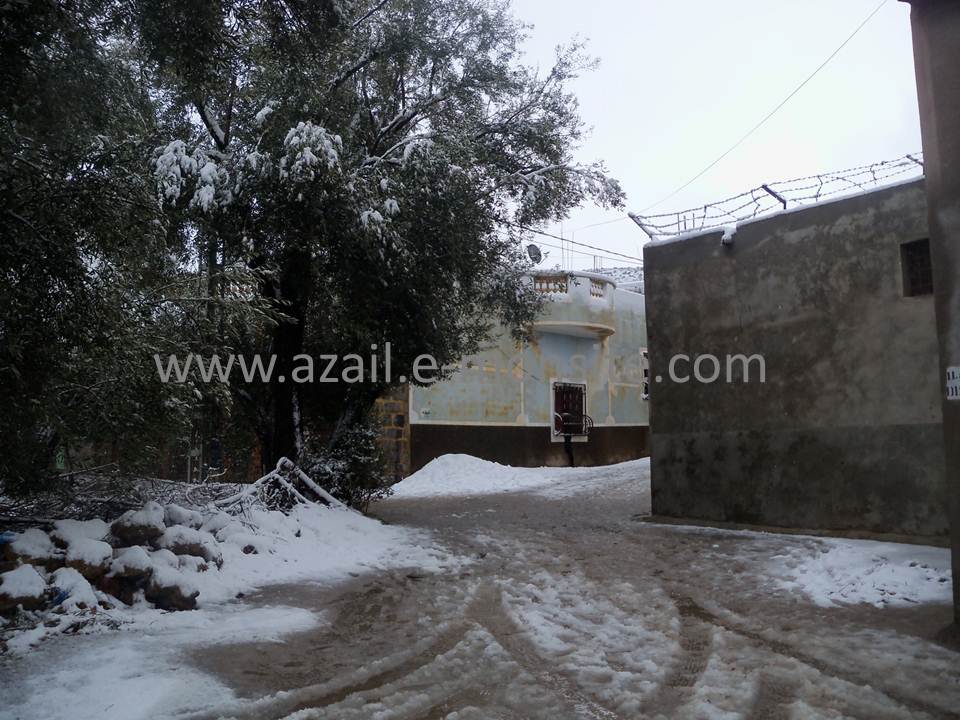 Azails (119)