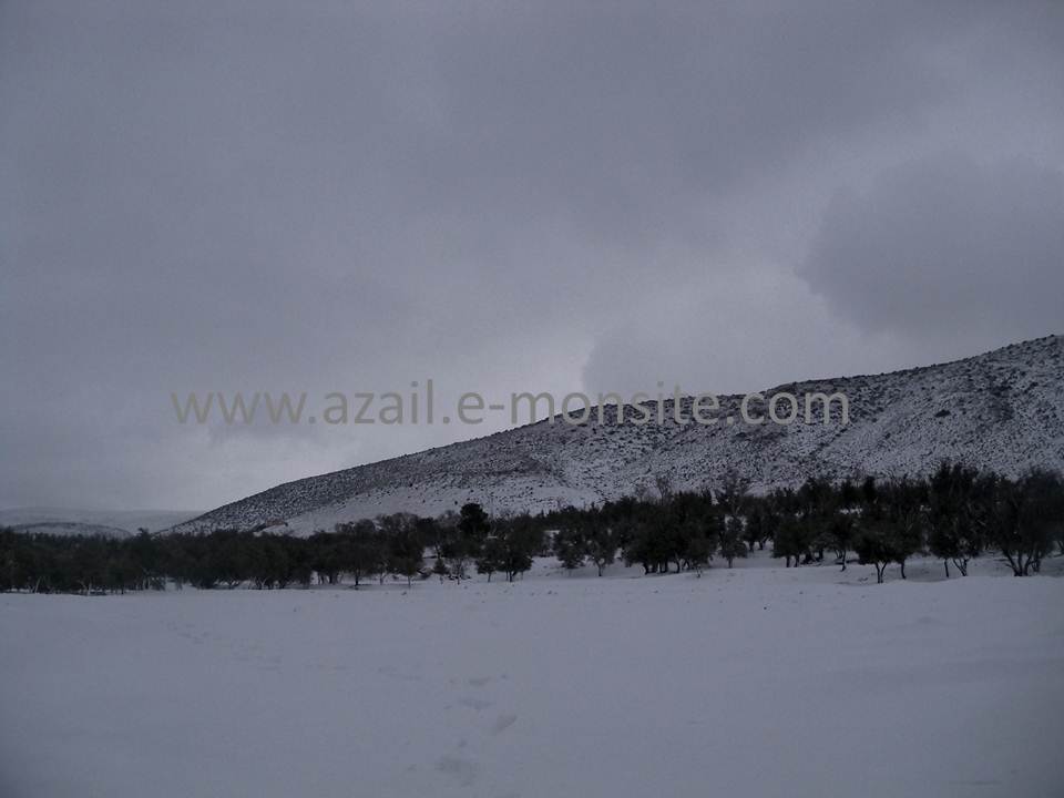 Azails (124)