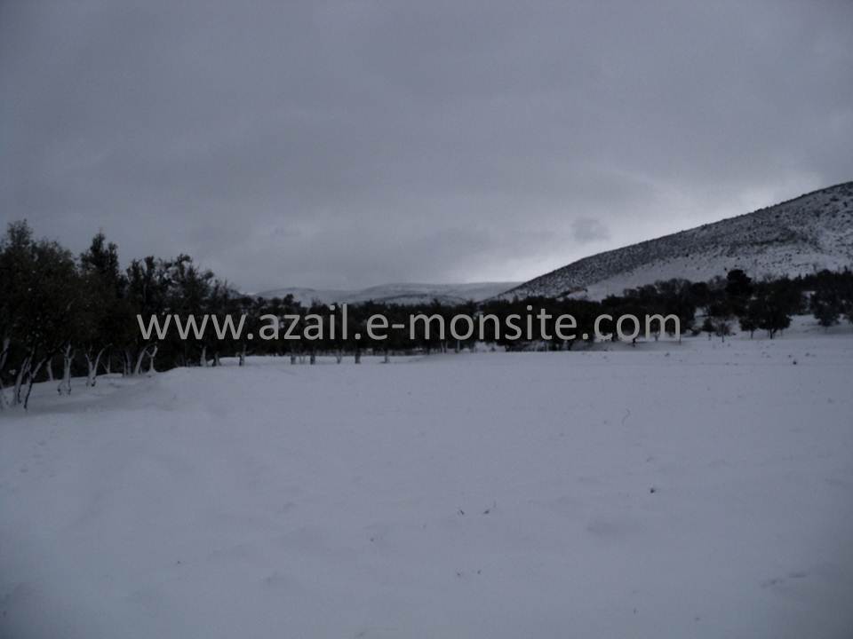Azails (126)