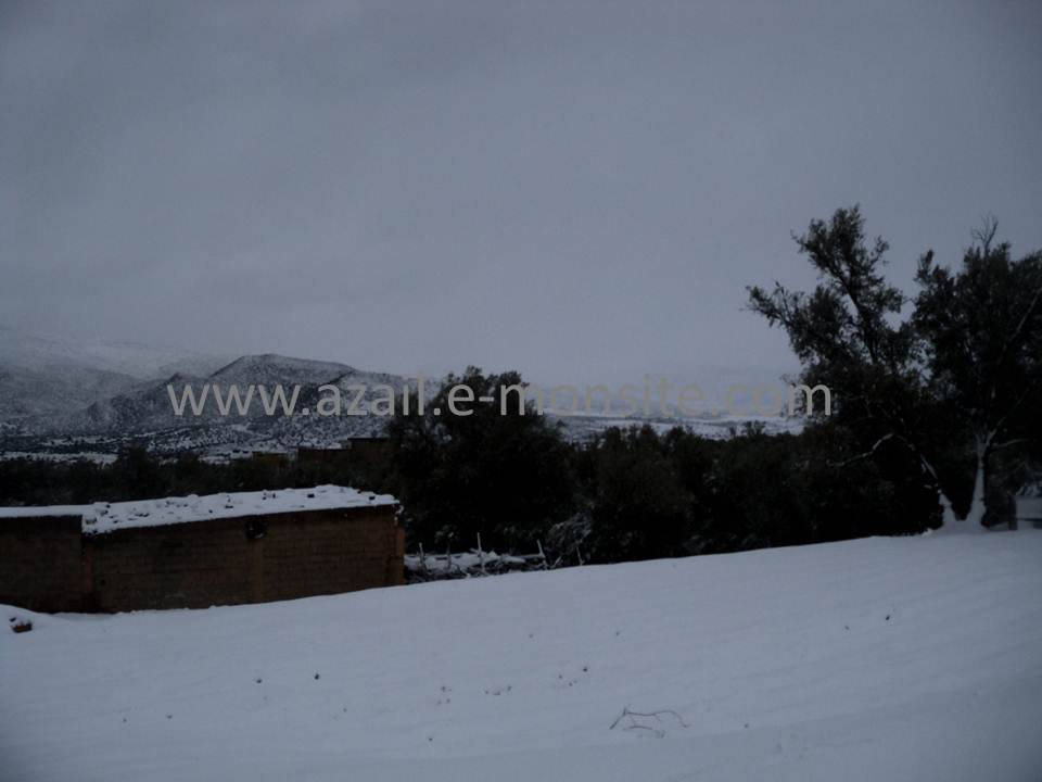 Azails (127)