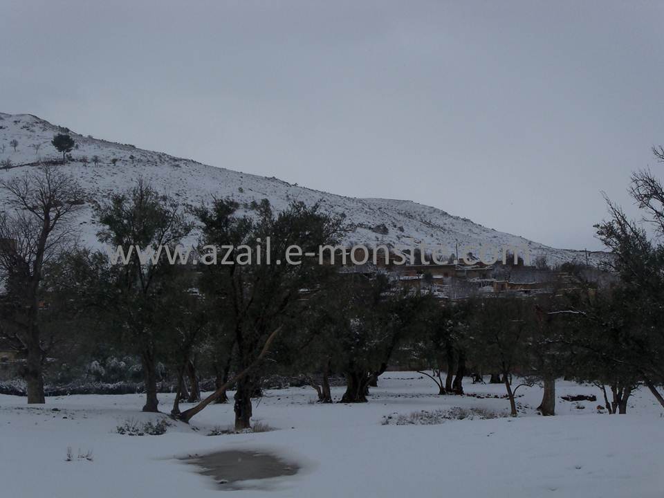 Azails (130)