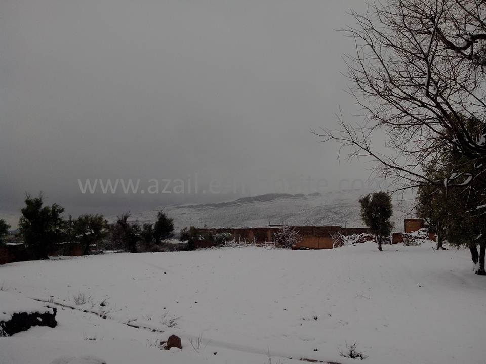Azails (138)