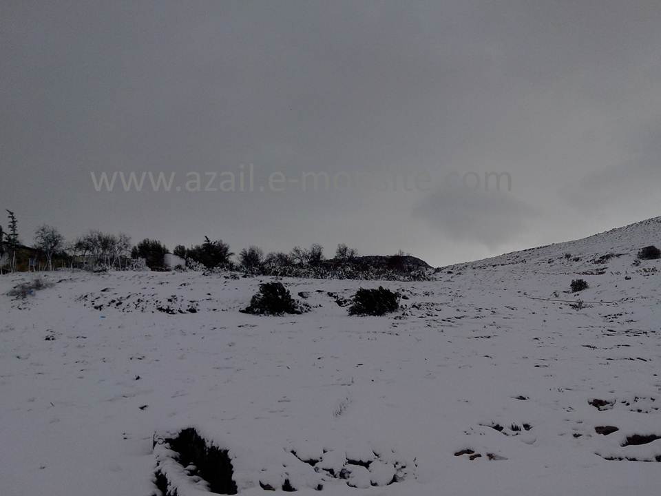Azails (160)