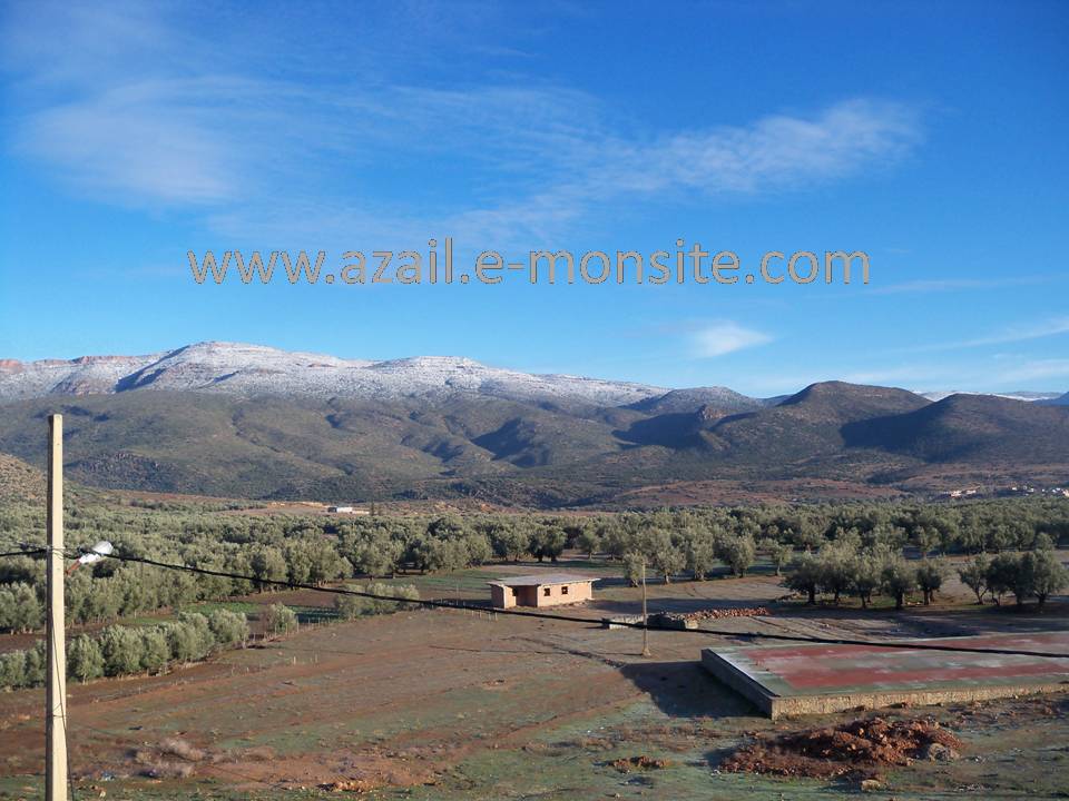 Azails (74)