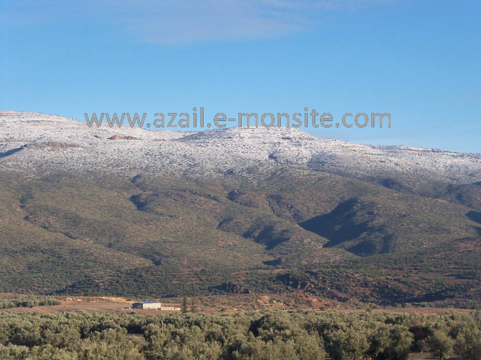 Azails (75)