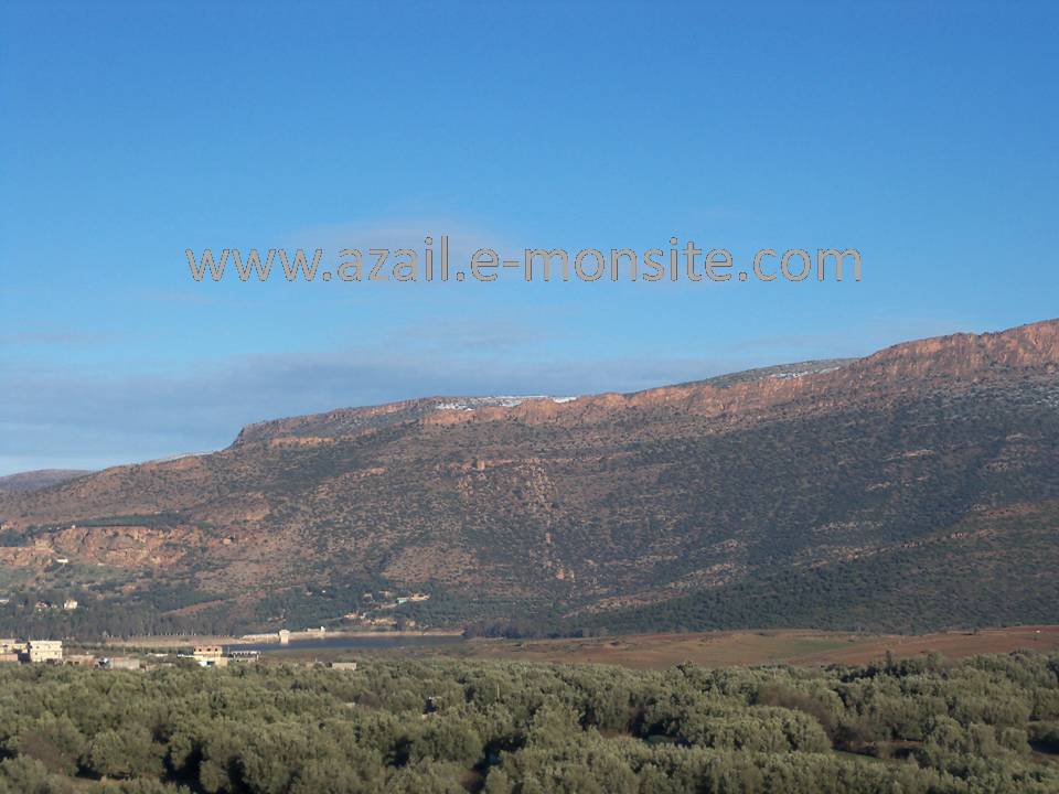 Azails (77)