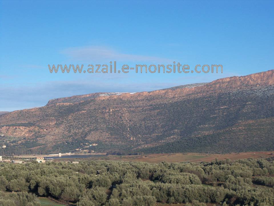 Azails (79)