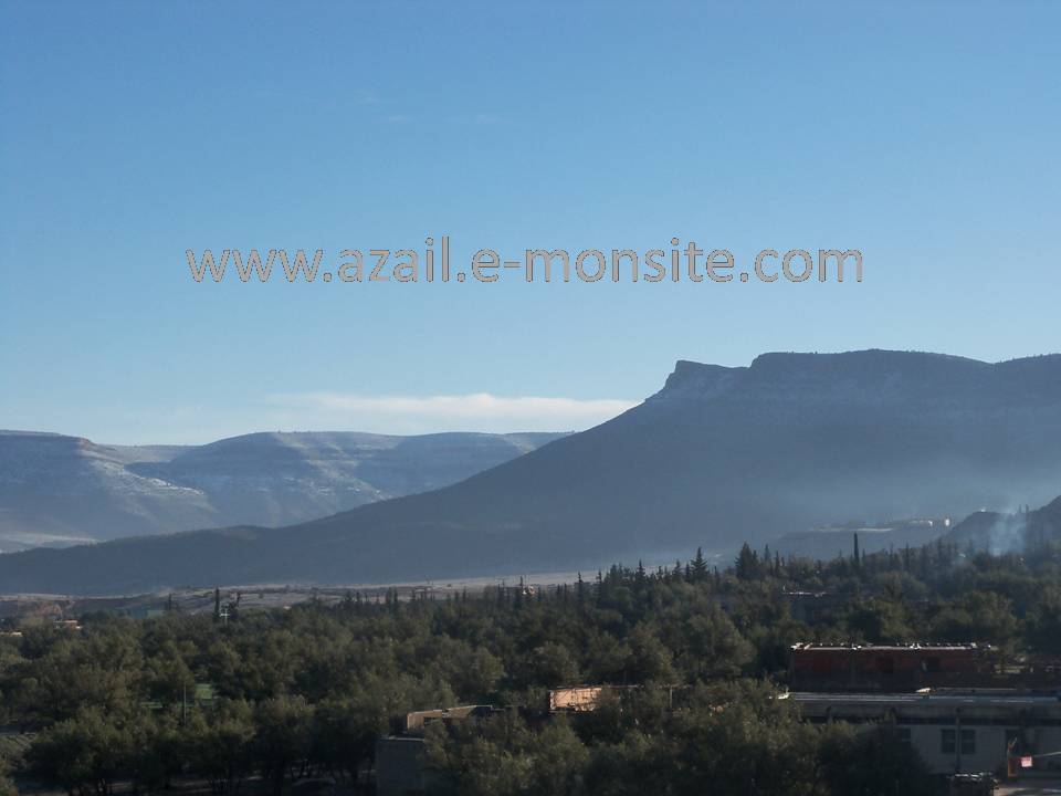 Azails (81)