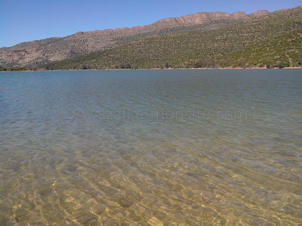 BARRAGE (113)