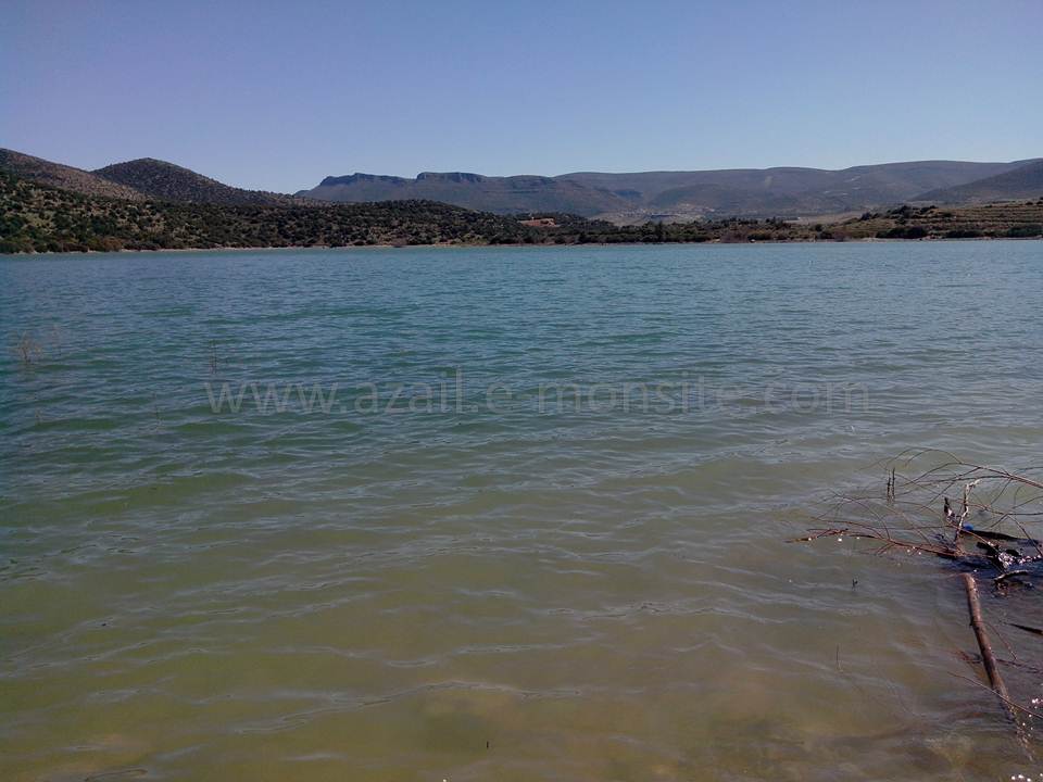 BARRAGE (115)