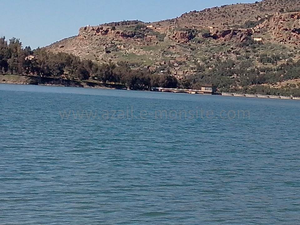 BARRAGE (119)