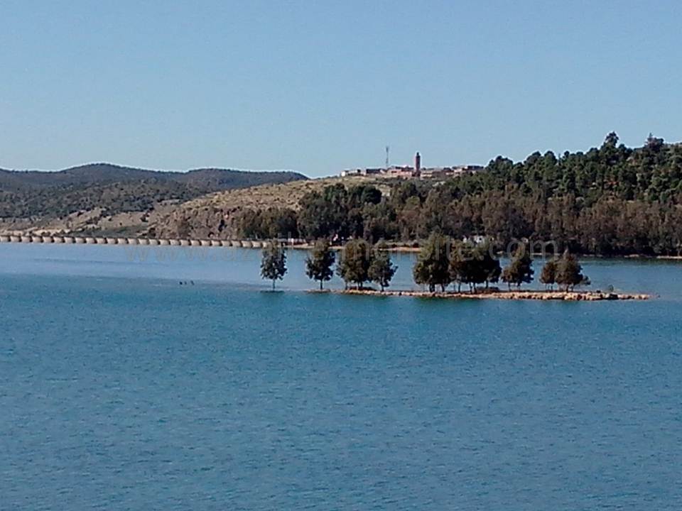BARRAGE (132)
