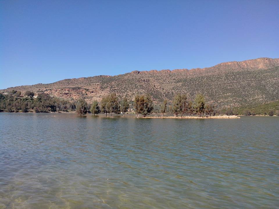 BARRAGE (133)