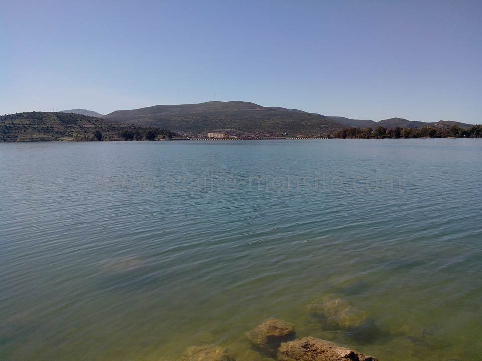 BARRAGE (136)