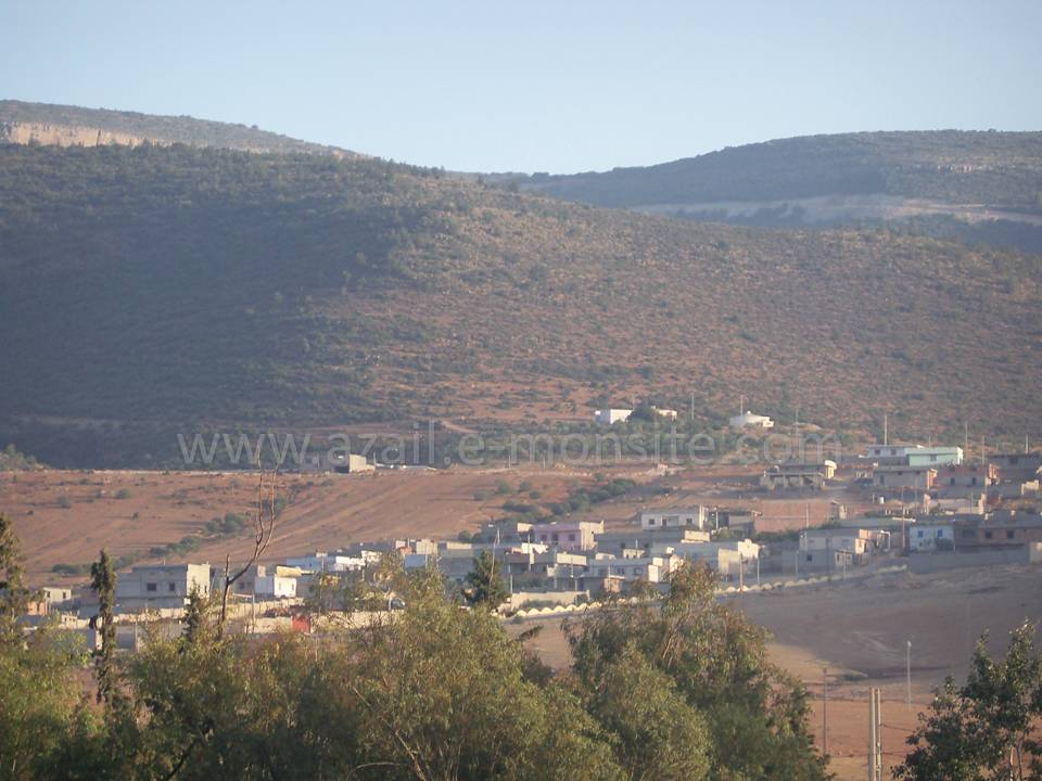 Tafessera (103)