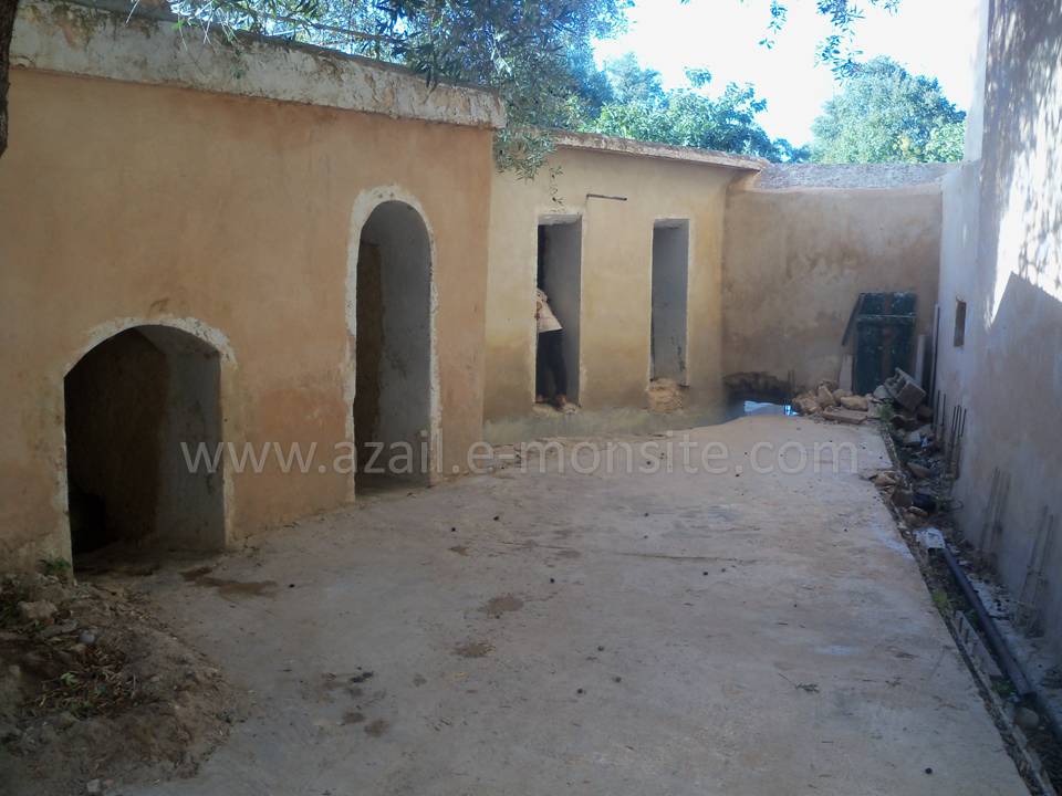 Tafessera (18)