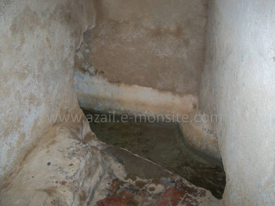 Tafessera (19)
