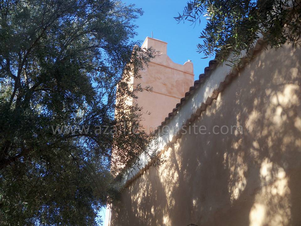 Tafessera (21)