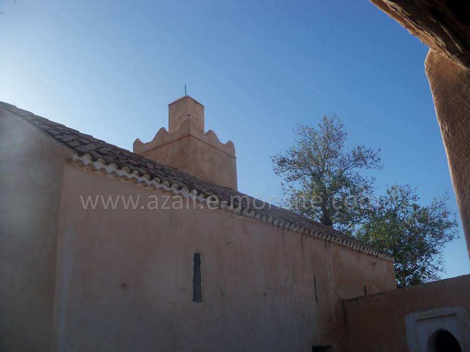 Tafessera (22)