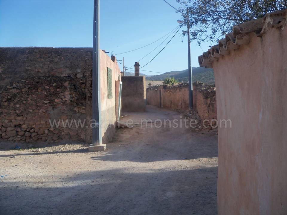 Tafessera (23)