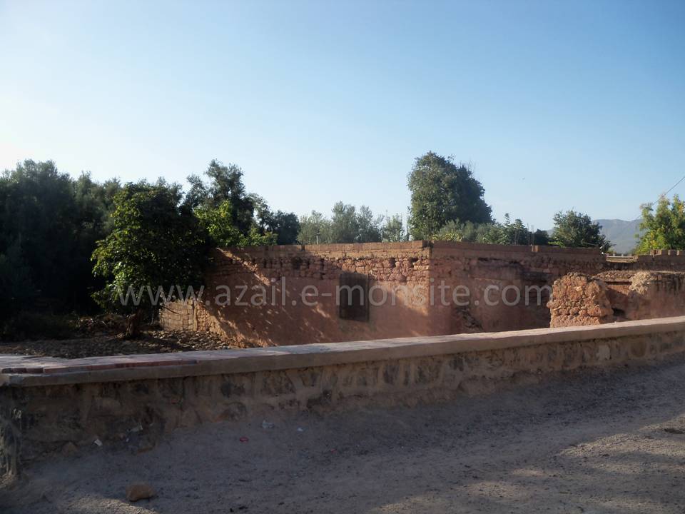 Tafessera (24)