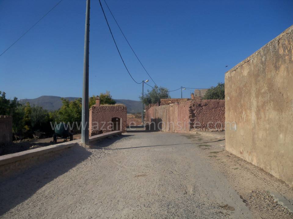 Tafessera (25)