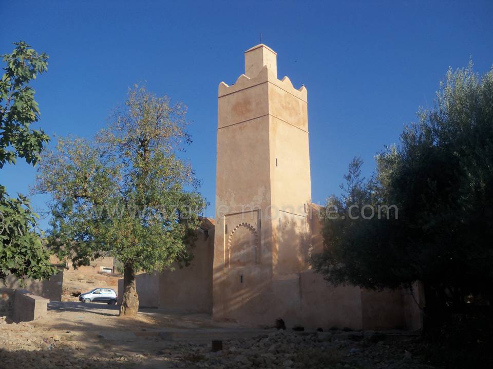 Tafessera (28)