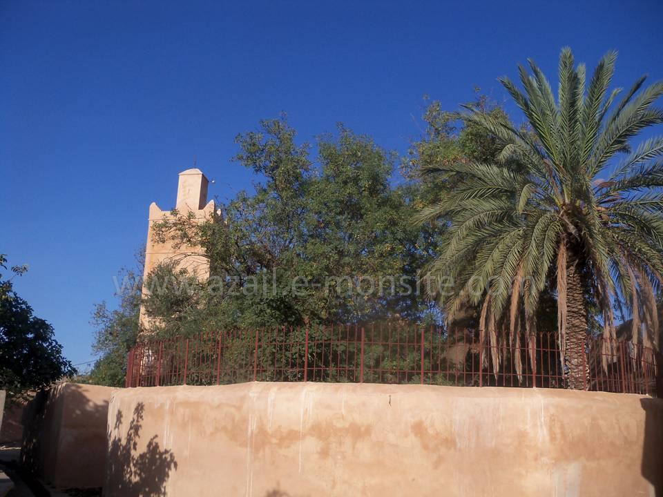 Tafessera (30)