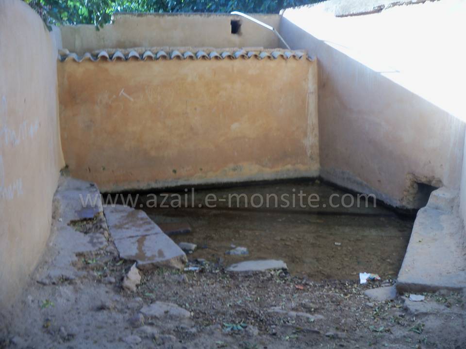 Tafessera (32)