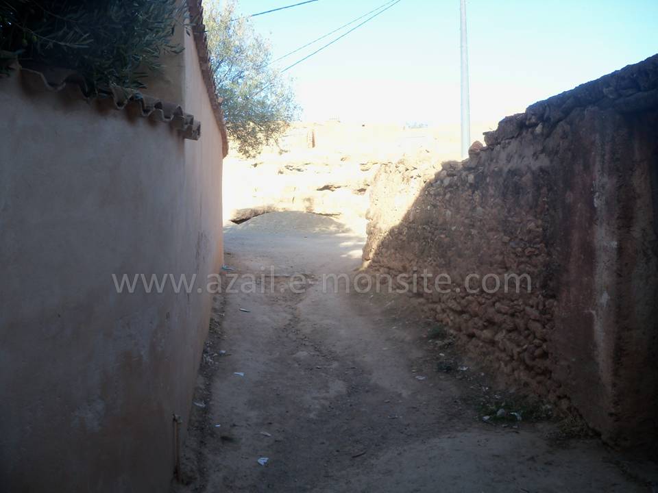 Tafessera (33)