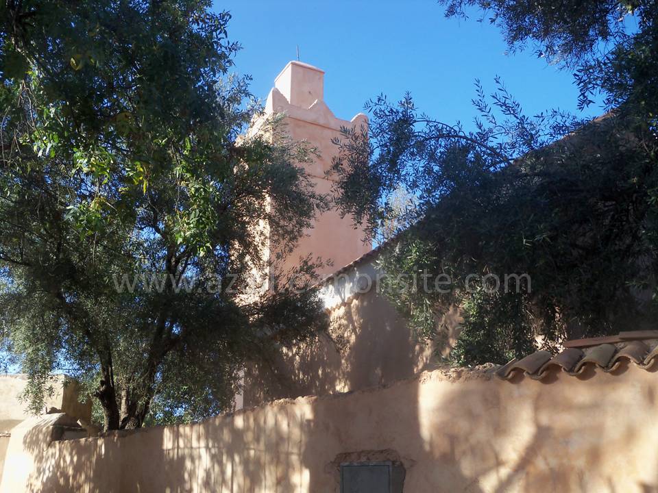 Tafessera (34)