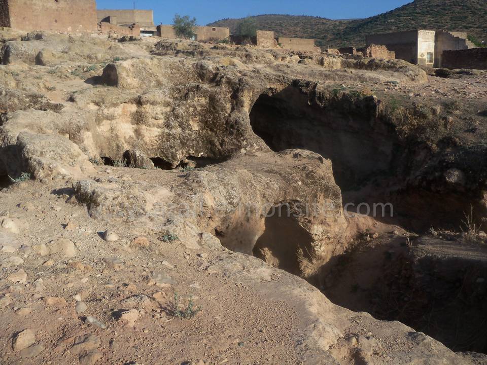 Tafessera (36)