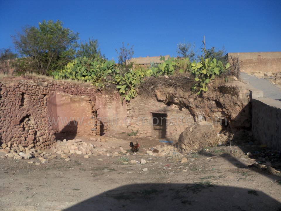 Tafessera (38)