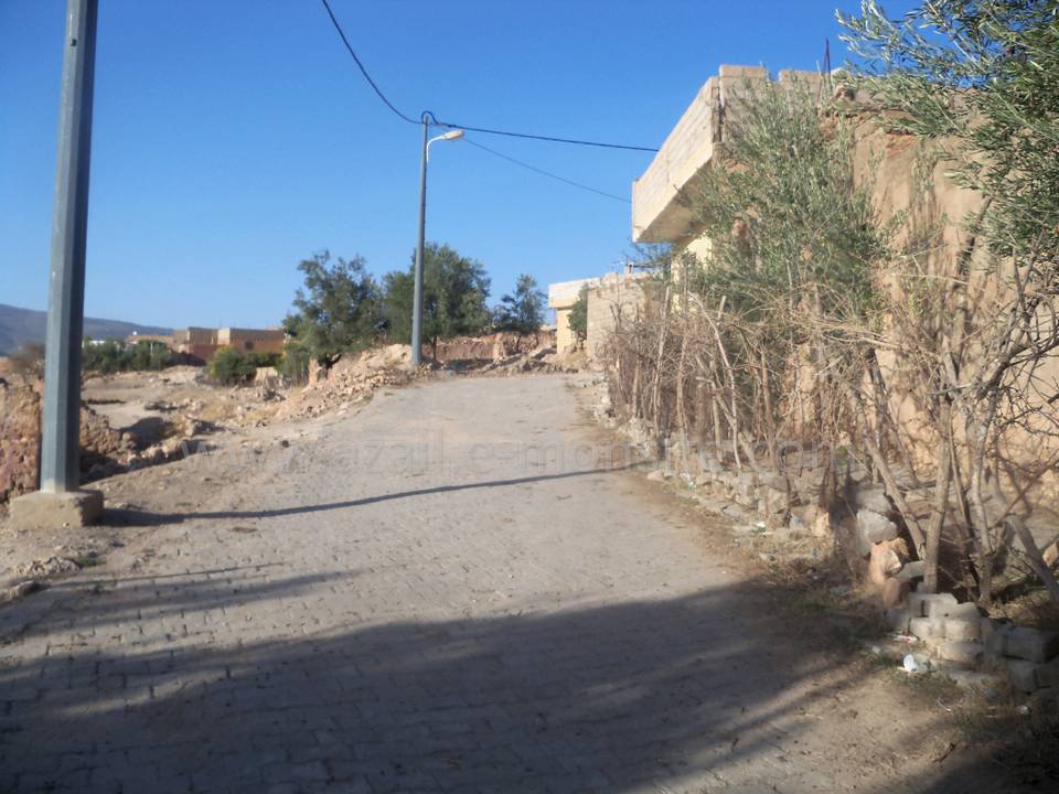 Tafessera (39)