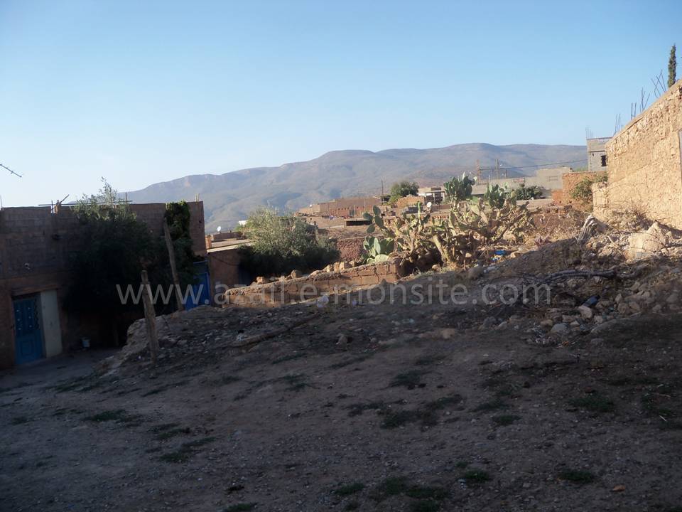 Tafessera (41)